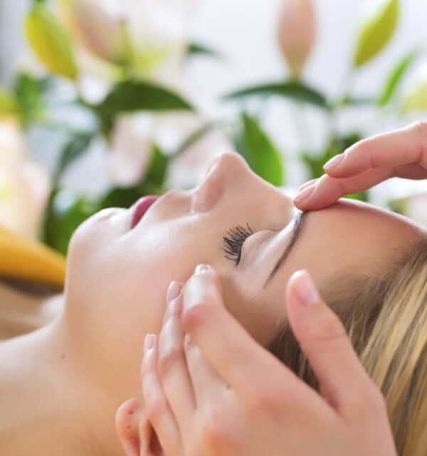 The Face Treatment Course