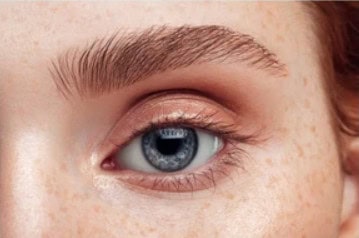Brow Lamination Tint and Shape